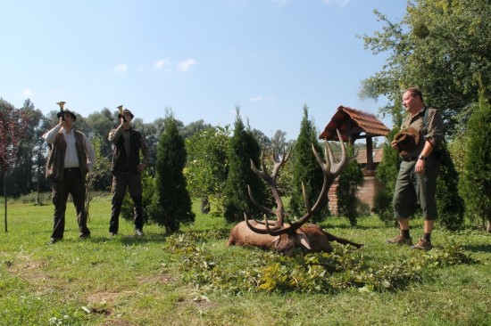 Zlatý jeleň na výrade