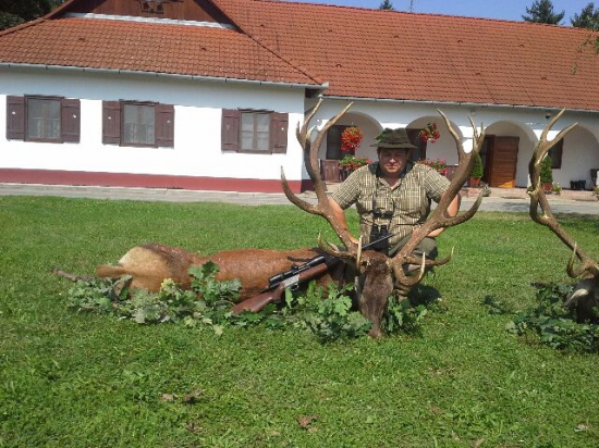 Jelienok z Maďarska