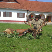 Jelienok z Maďarska