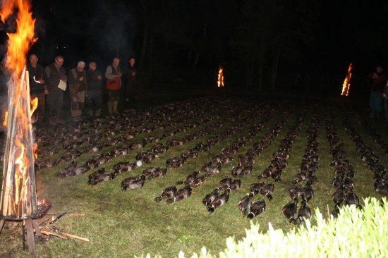 Poľovačka na kačice v Maďarsku