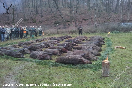 Spoločná poľovačka na diviaky Segíňov, 14.12.2014