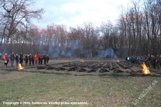 Bagamér 31.1.2015