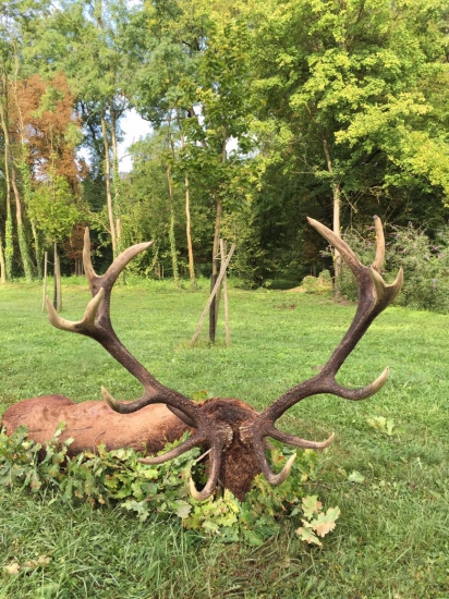 Zatiaľ najsilnejší v tejto sezóne