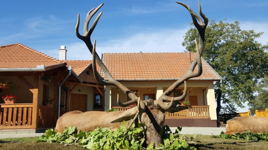 Igor, jeleň už leží na výrade