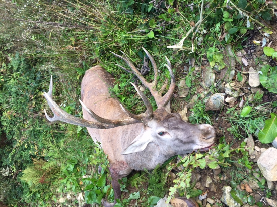 Ešte jeden rumunský