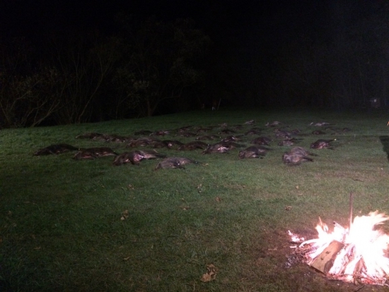 Spoločné poľovačky sa už začali