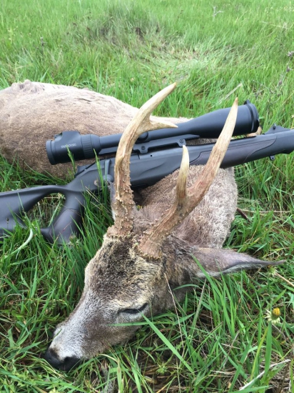 Jeden z lepších ....