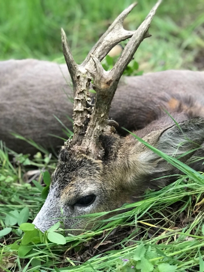Tiež z tých lepších