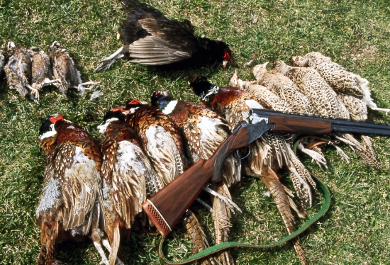 nieco odniest domov....