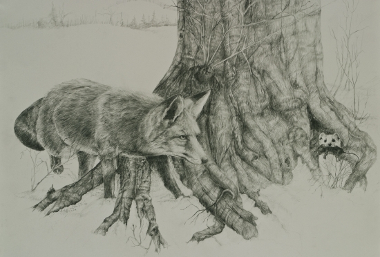 Prednost v jazde...alebo sustredenie na ranajky?