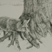 Prednost v jazde...alebo sustredenie na ranajky?