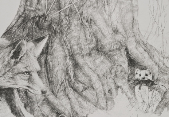 Prednost v jazde...alebo sustredenie na ranajky?