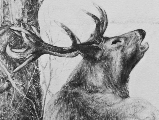 Oddychove upozornenie-detail