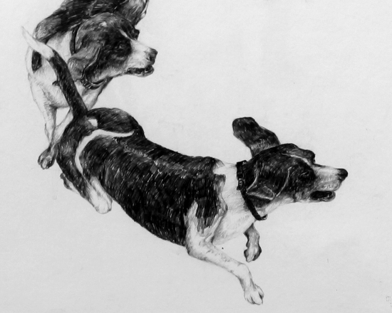 Durice v akcii-detail