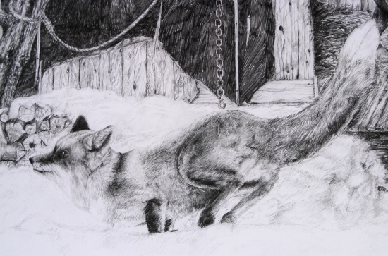 Pruser...je odviazany:o))....Detail