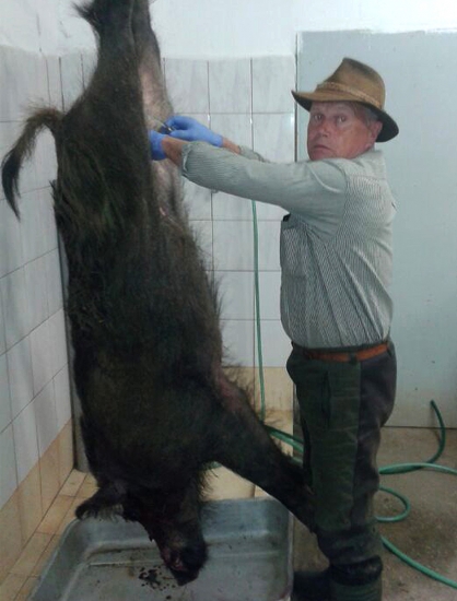 ...aj brachovi sa podarilo!