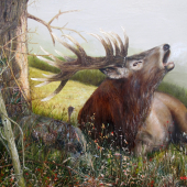 Vyzva do doliny.....