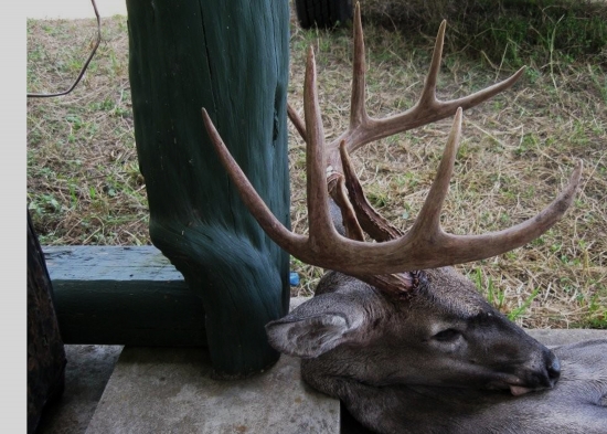 ...desat bodov...(alebo desatorak)