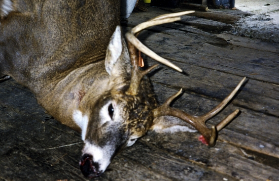 2009-posledny den v sezone