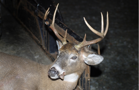 ....konecne....pripravene na odvoz:o)