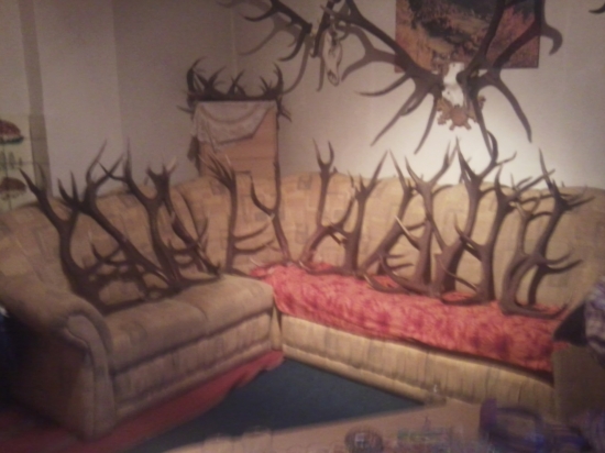 tohtoročne pre skaza