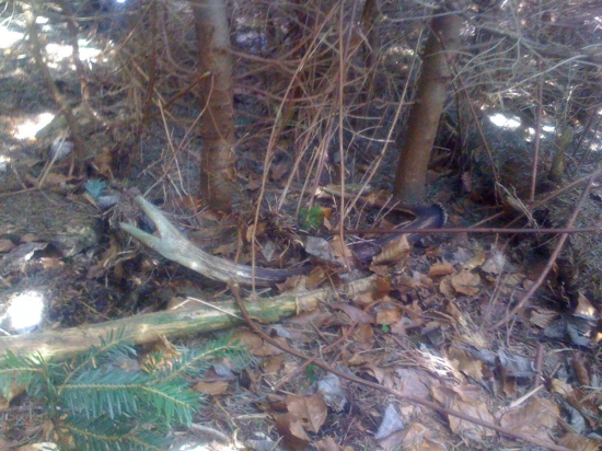 maly, stary...ale predsa..:)