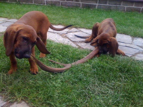 este ked boli male...:))