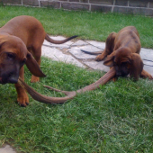 este ked boli male...:))