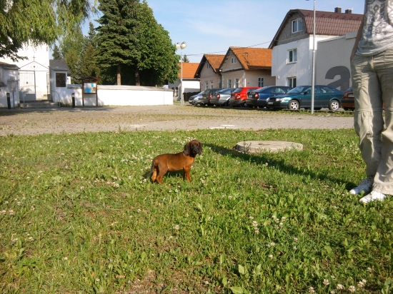 Frida zo Zlatej Bane :)   (nový prírastok)