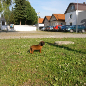 Frida zo Zlatej Bane :)   (nový prírastok)