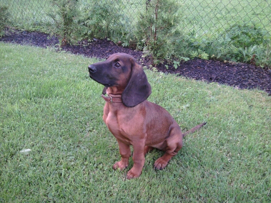 opať moja kraska šikovná :)))