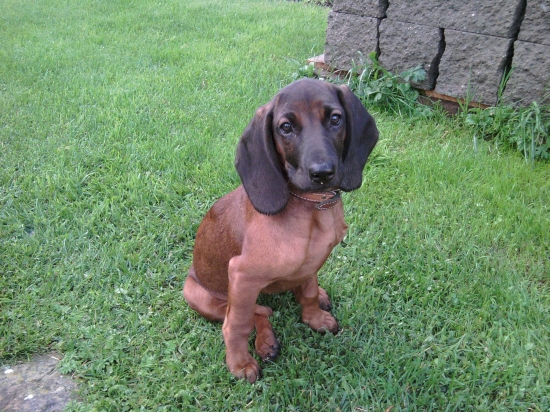 :)) Frida , Zlatá Baňa