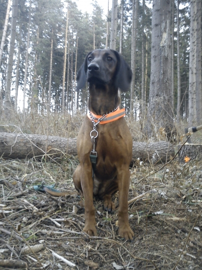 Frida zlata Baňa, 7 mesiacov