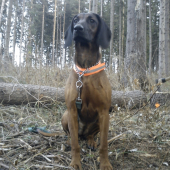 Frida zlata Baňa, 7 mesiacov