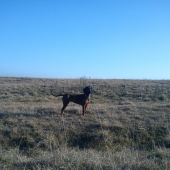 Frida 7 mes.