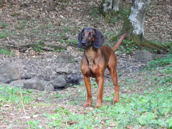 Frida Zlata Bana ...rok  :))