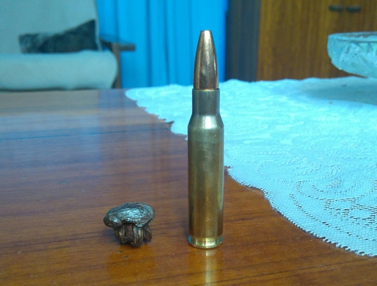 .308 geco plus vs diviak