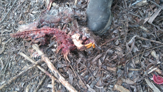 žeby bobrík mlčanlivosti? :D