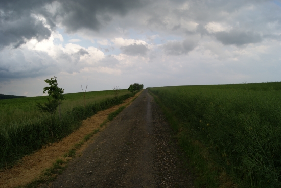 před bořkou