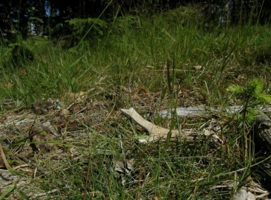 jak málo stačí k radosti :-)