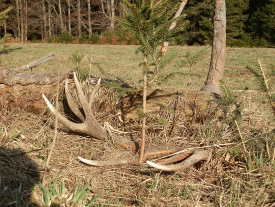 Kamarádovi se u mě zadařilo :-)