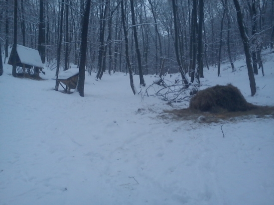 sienko doplnene a na druhy den nieco z neho zmyzlo :)