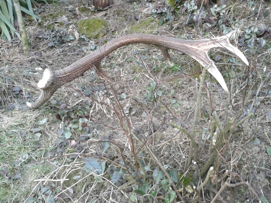 zatial tento rok najsilnejsi