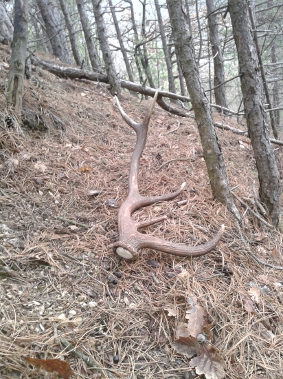 desatorak zo starsieho pana