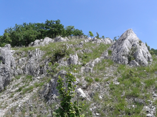 lesostep