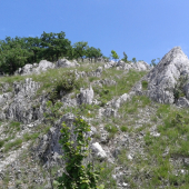 lesostep