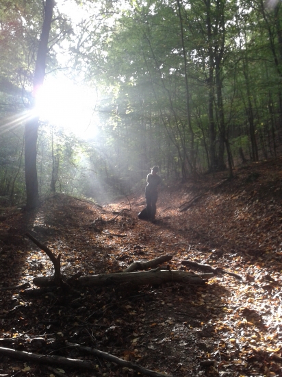 tazky transport ulovenej zveri