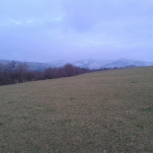 inovet :)
