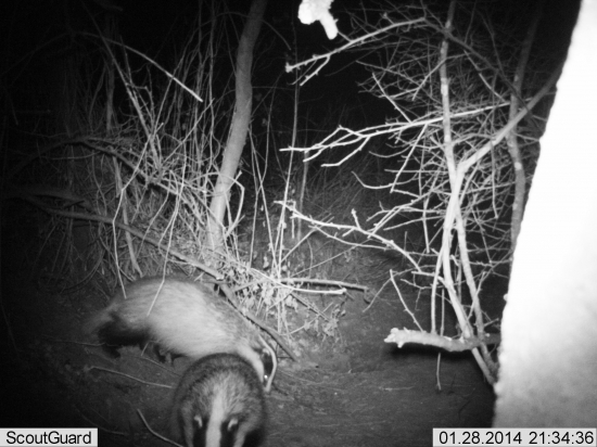 kazdodenna prechadzka :)