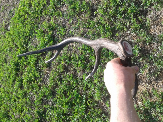 vcerajsi osmoracik :)